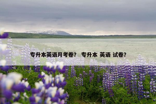 专升本英语月考卷？ 专升本 英语 试卷？