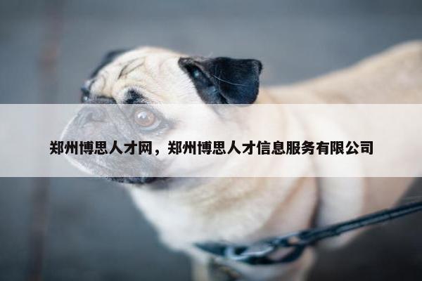 郑州博思人才网，郑州博思人才信息服务有限公司