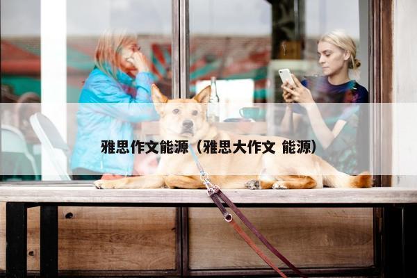 雅思作文能源（雅思大作文 能源）