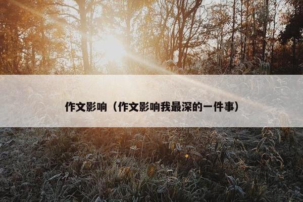 作文影响（作文影响我最深的一件事）