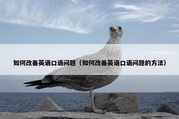 如何改善英语口语问题（如何改善英语口语问题的方法）