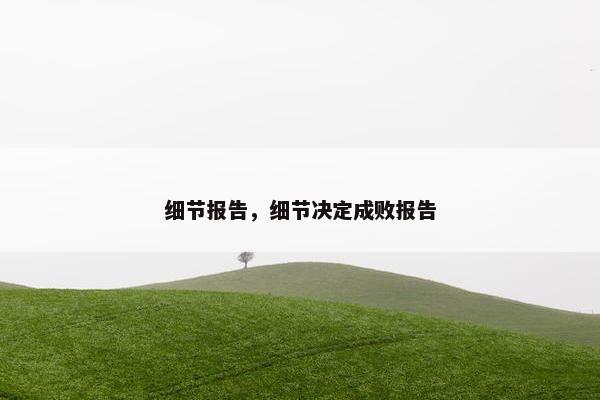细节报告，细节决定成败报告