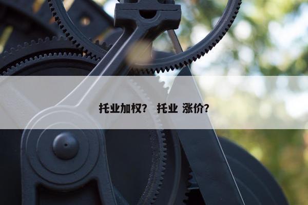 托业加权？ 托业 涨价？