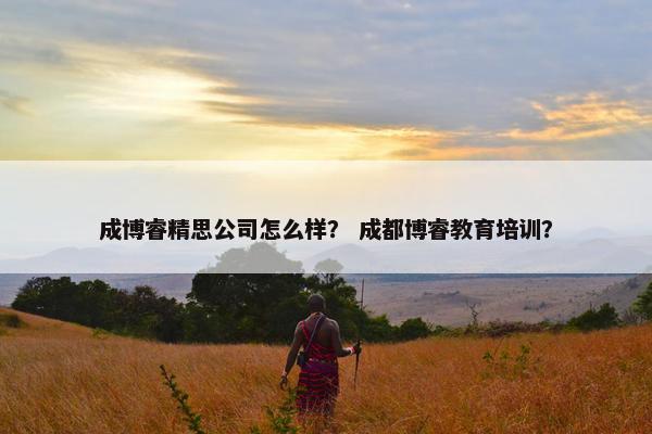 成博睿精思公司怎么样？ 成都博睿教育培训？