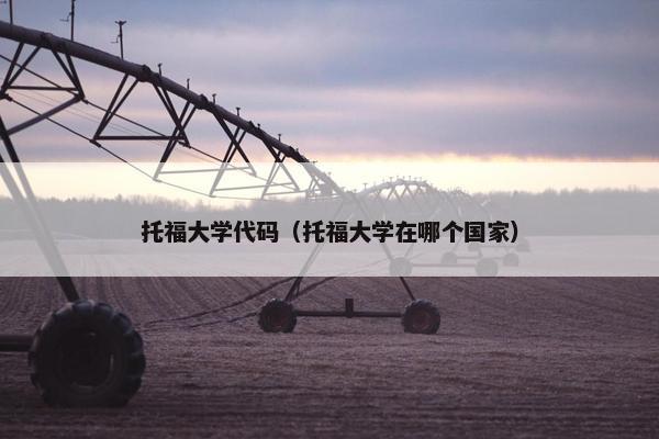 托福大学代码（托福大学在哪个国家）