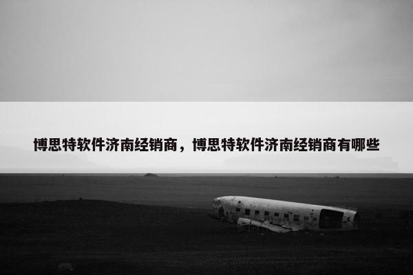 博思特软件济南经销商，博思特软件济南经销商有哪些
