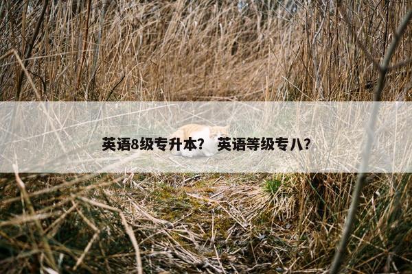 英语8级专升本？ 英语等级专八？
