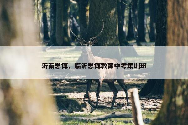 沂南思博，临沂思博教育中考集训班