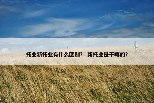 托业新托业有什么区别？ 新托业是干嘛的？