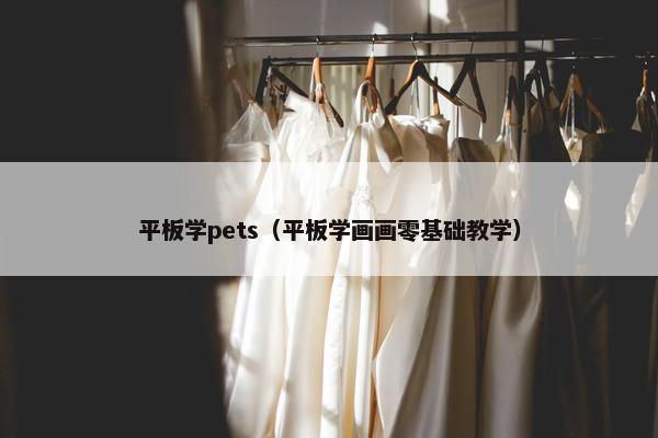 平板学pets（平板学画画零基础教学）