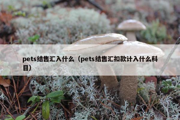 pets结售汇入什么（pets结售汇扣款计入什么科目）