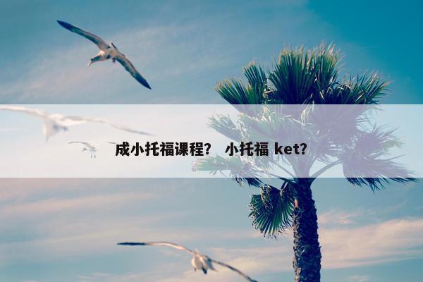 成小托福课程？ 小托福 ket？