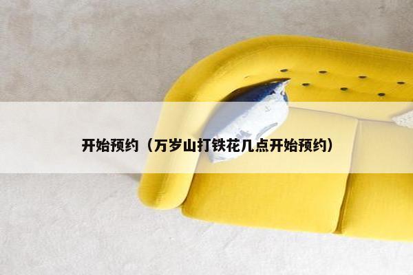 开始预约（万岁山打铁花几点开始预约）