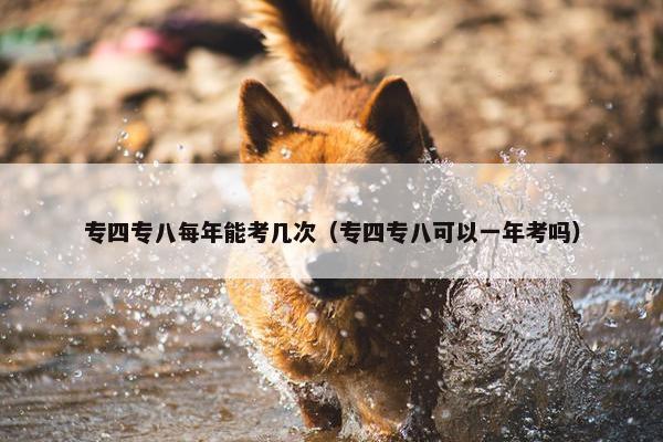 专四专八每年能考几次（专四专八可以一年考吗）