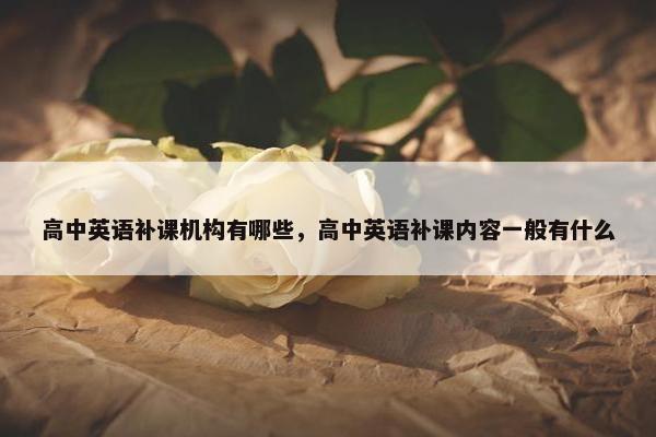 高中英语补课机构有哪些，高中英语补课内容一般有什么
