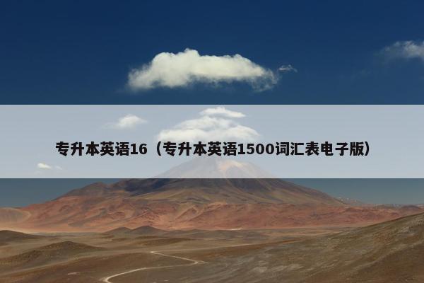 专升本英语16（专升本英语1500词汇表电子版）
