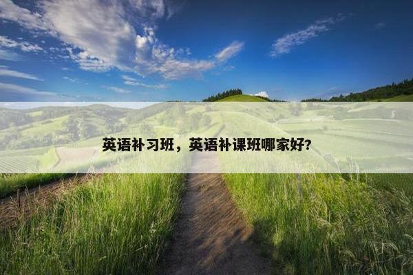 英语补习班，英语补课班哪家好?