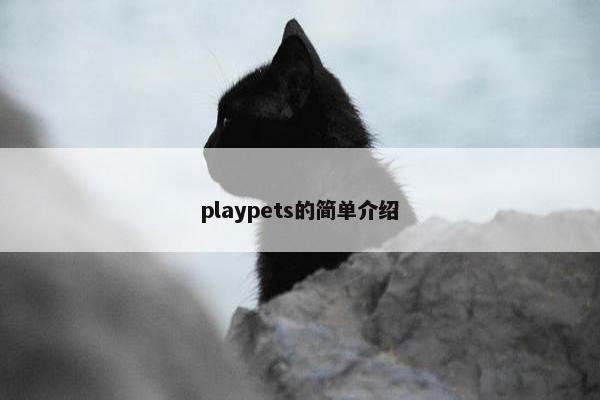 playpets的简单介绍