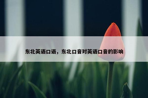 东北英语口语，东北口音对英语口音的影响