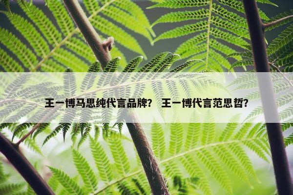 王一博马思纯代言品牌？ 王一博代言范思哲？