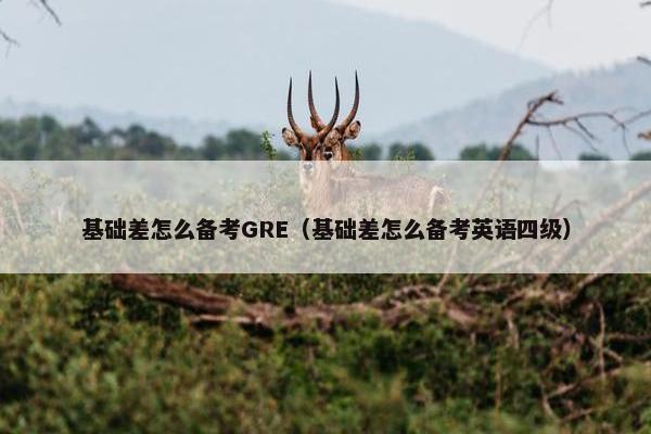 基础差怎么备考GRE（基础差怎么备考英语四级）