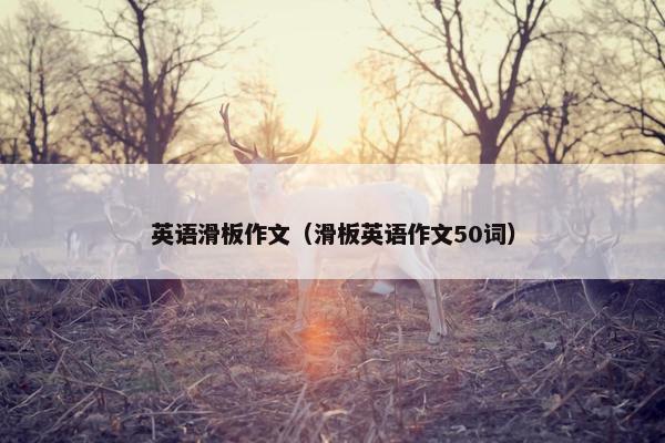 英语滑板作文（滑板英语作文50词）