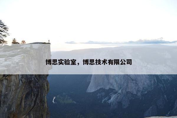 博思实验室，博思技术有限公司