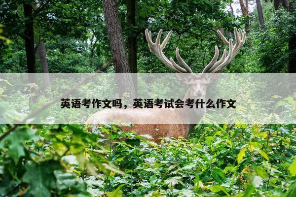 英语考作文吗，英语考试会考什么作文