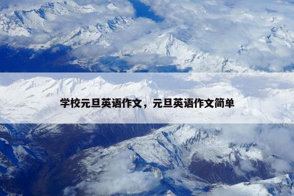 学校元旦英语作文，元旦英语作文简单