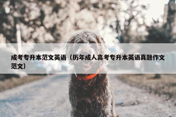 成考专升本范文英语（历年成人高考专升本英语真题作文范文）