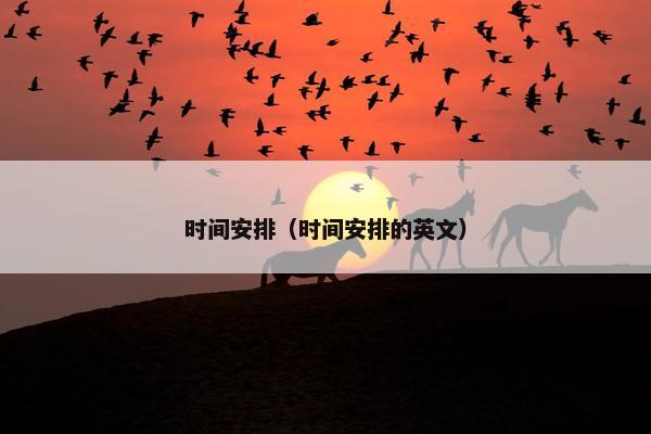 时间安排（时间安排的英文）