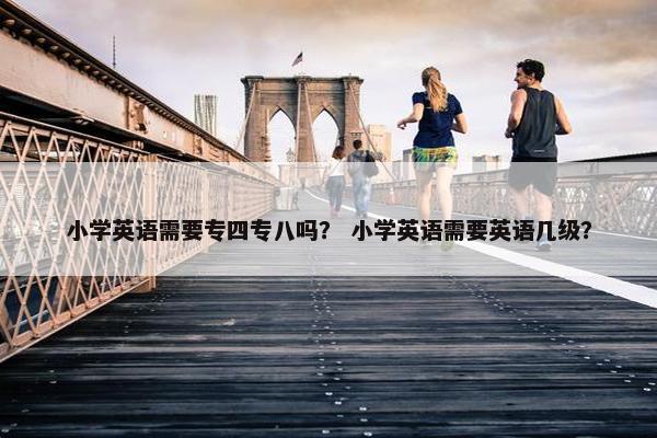 小学英语需要专四专八吗？ 小学英语需要英语几级？