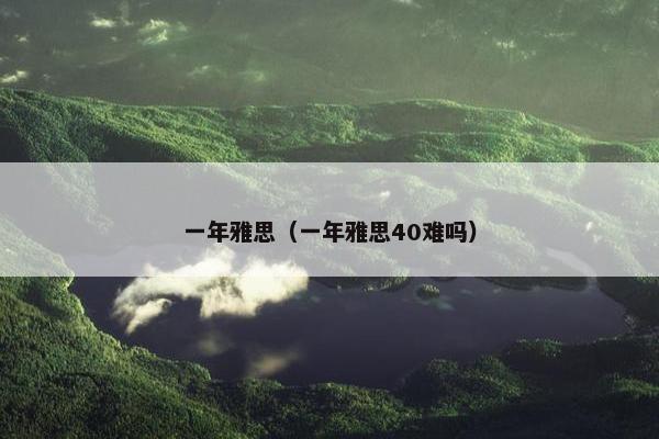 一年雅思（一年雅思40难吗）