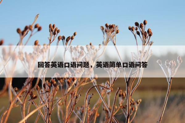 回答英语口语问题，英语简单口语问答