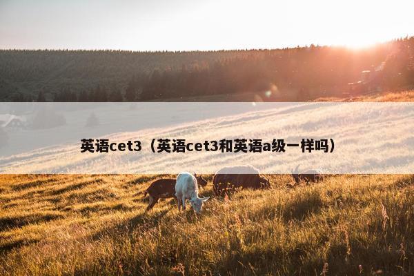 英语cet3（英语cet3和英语a级一样吗）