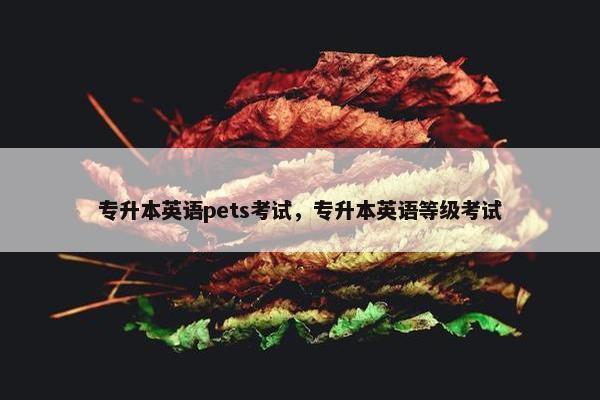专升本英语pets考试，专升本英语等级考试