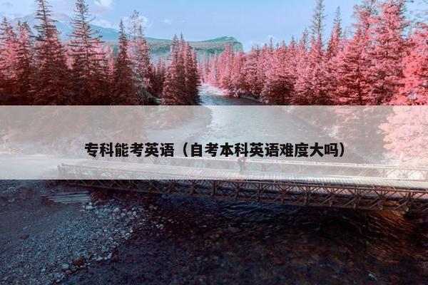 专科能考英语（自考本科英语难度大吗）