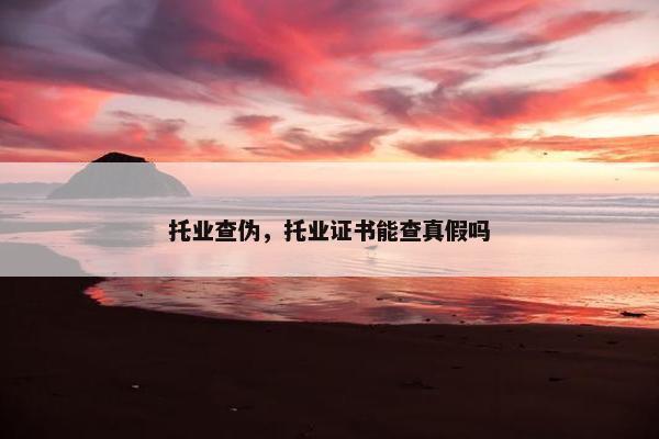 托业查伪，托业证书能查真假吗