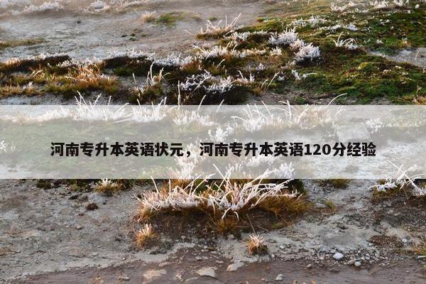 河南专升本英语状元，河南专升本英语120分经验