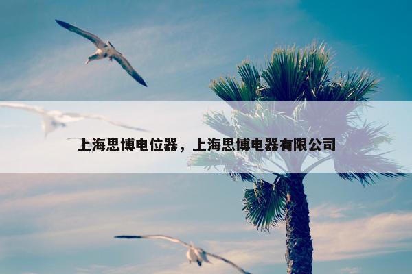 上海思博电位器，上海思博电器有限公司