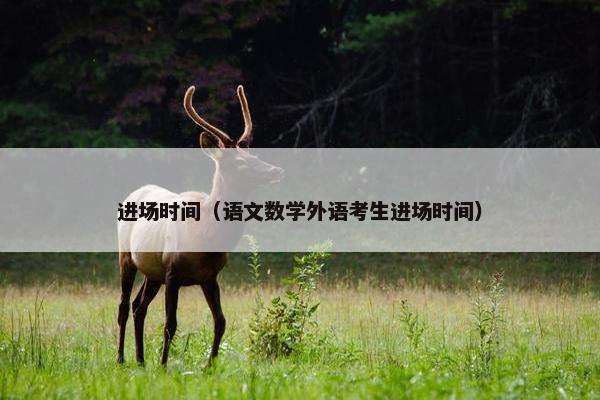 进场时间（语文数学外语考生进场时间）
