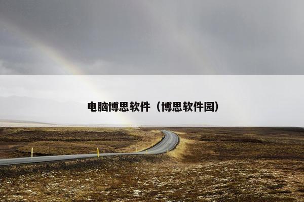 电脑博思软件（博思软件园）