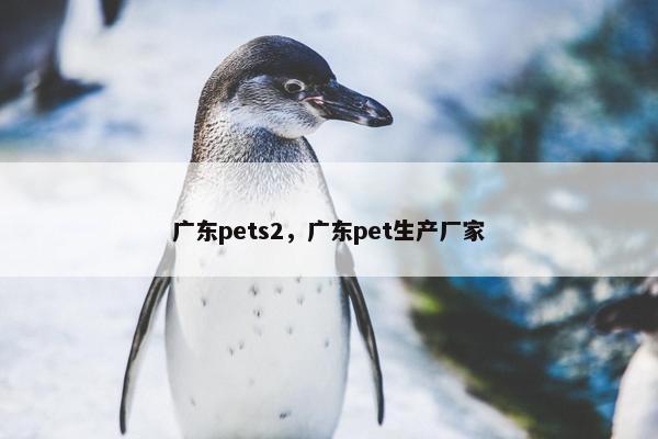 广东pets2，广东pet生产厂家