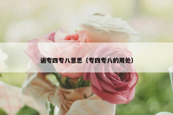 语专四专八意思（专四专八的用处）