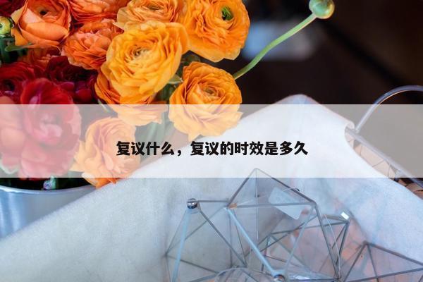 复议什么，复议的时效是多久