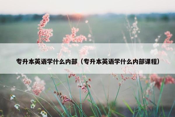 专升本英语学什么内部（专升本英语学什么内部课程）