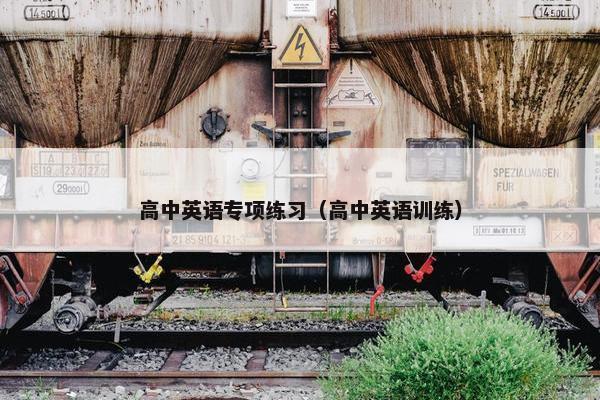 高中英语专项练习（高中英语训练）
