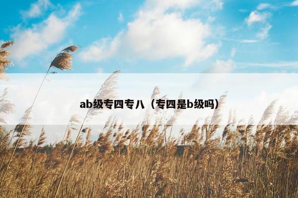 ab级专四专八（专四是b级吗）