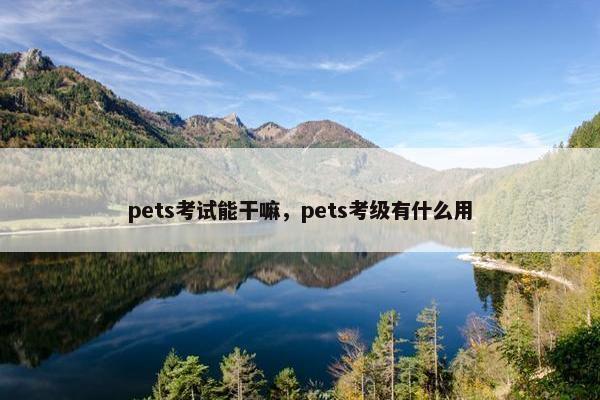 pets考试能干嘛，pets考级有什么用