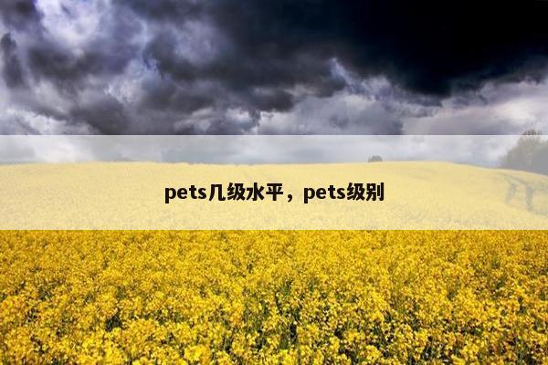 pets几级水平，pets级别